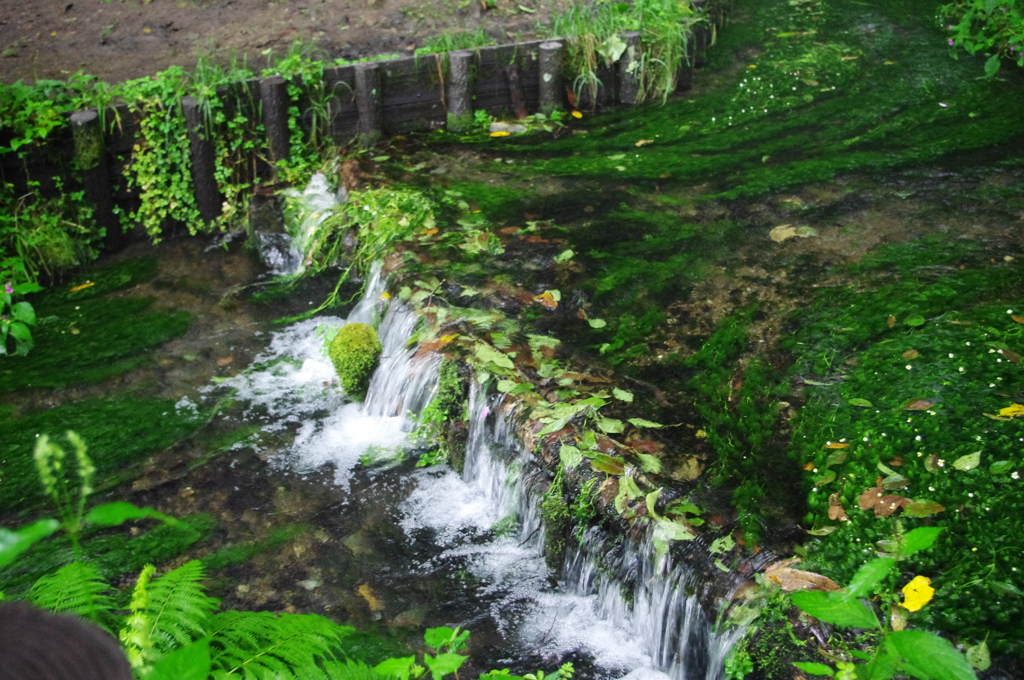 IMGP2335