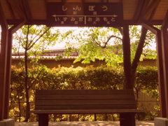 公園にて1