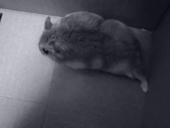 移動中