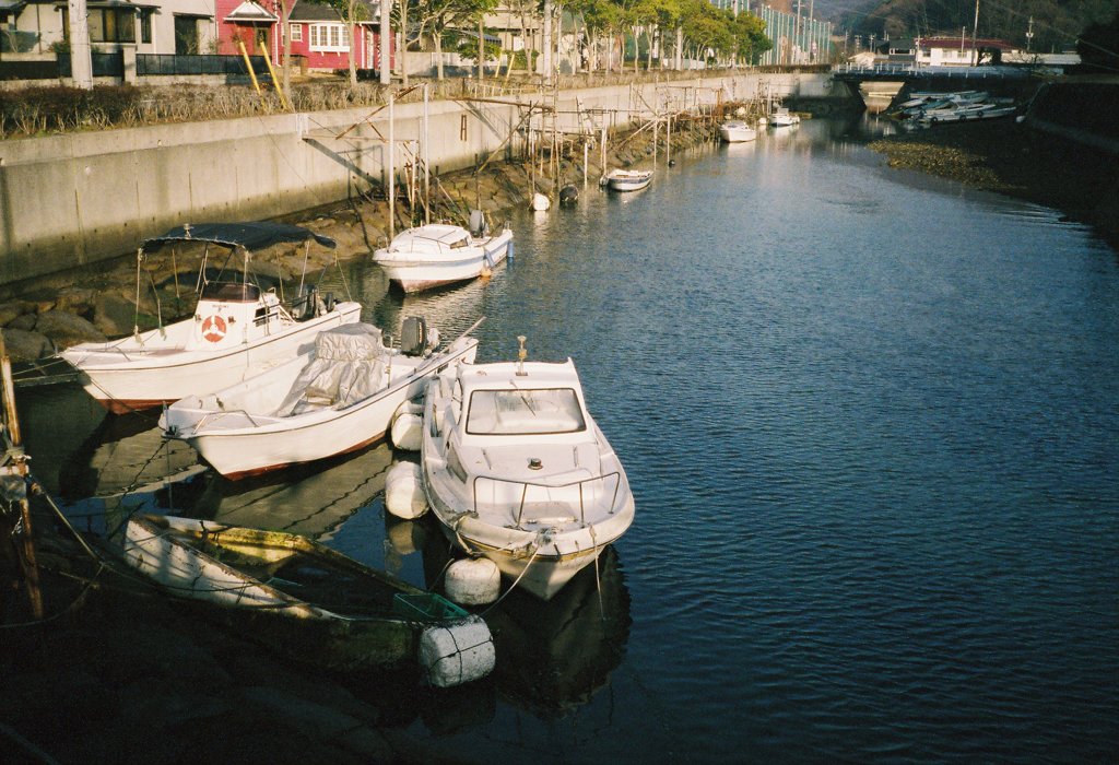 海岸沿い