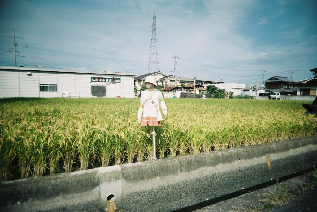 カカシ1