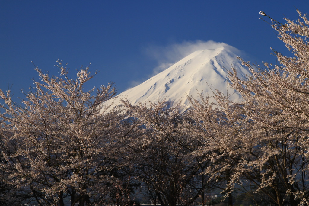 穏やかな春