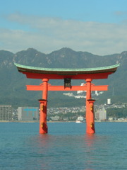DSCN0132