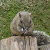 (ﾟ∀ﾟ)ｳﾏｳﾏ