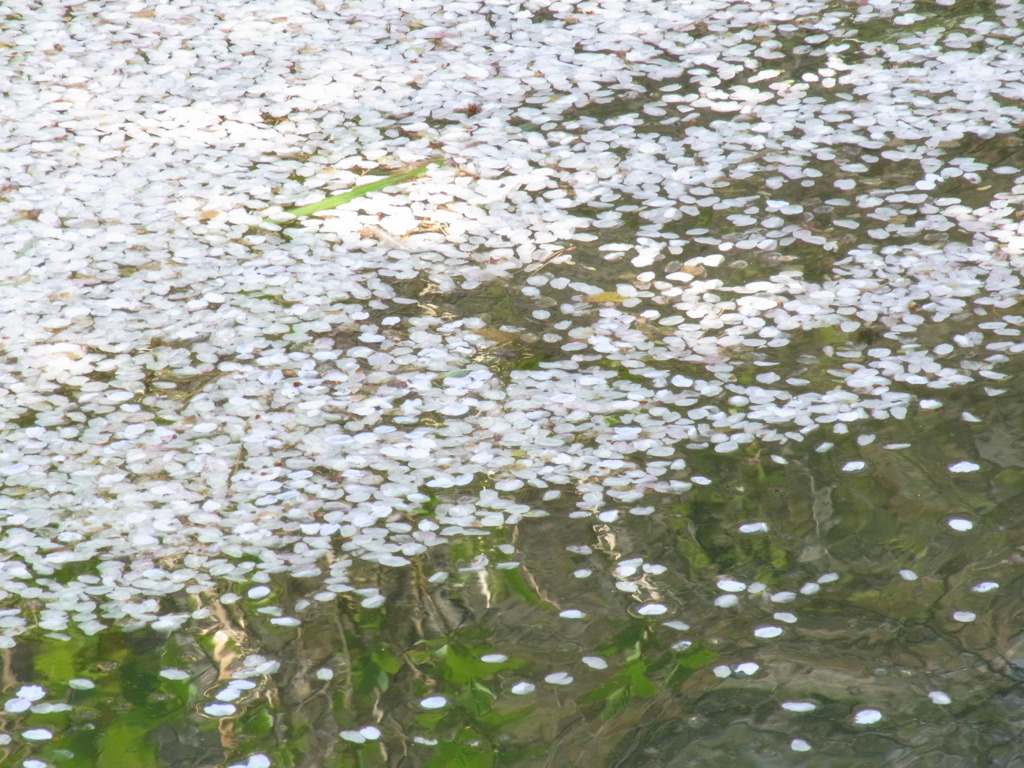 散華