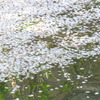 散華