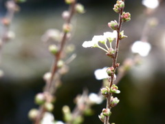 RIMG0376