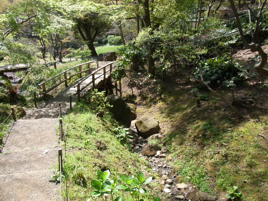 橋