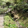 橋