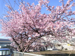 RIMG0377