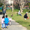 コロナ騒動の中の公園3