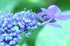 雨が止んで