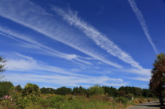 飛行機雲