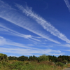飛行機雲