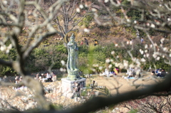 中山寺梅林