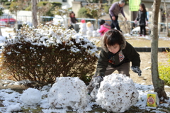 雪の日の公園