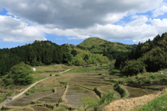 長谷の棚田1