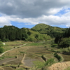 長谷の棚田1
