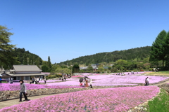 花のじゅうたん