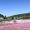 花のじゅうたん