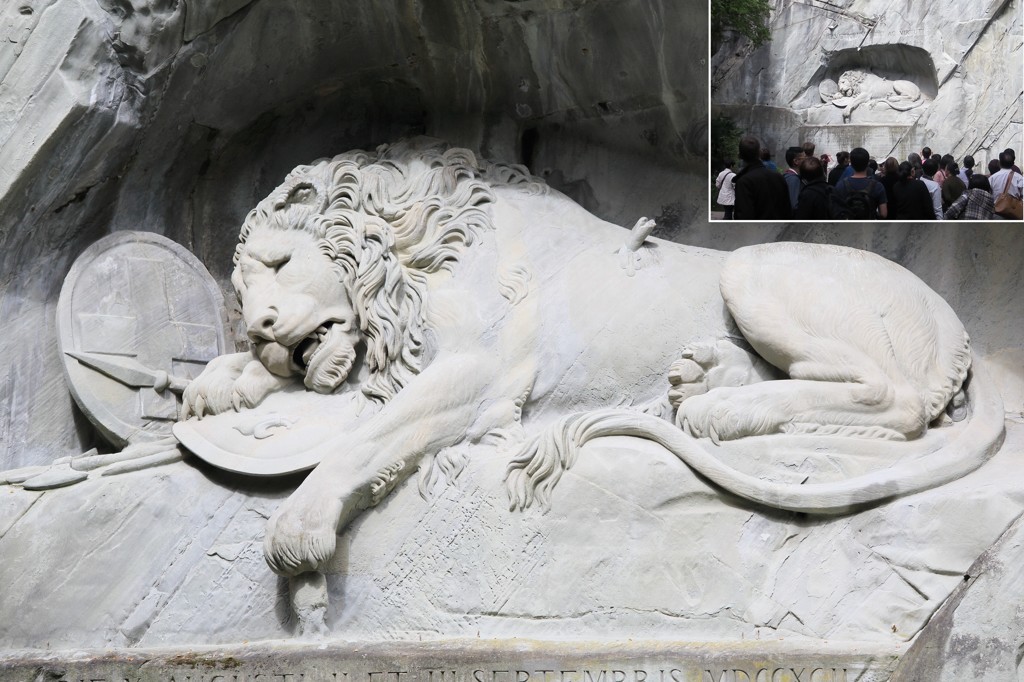 動物画像無料 心に強く訴える瀕死 の ライオン 像