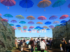 LOHAS FESTA 万博