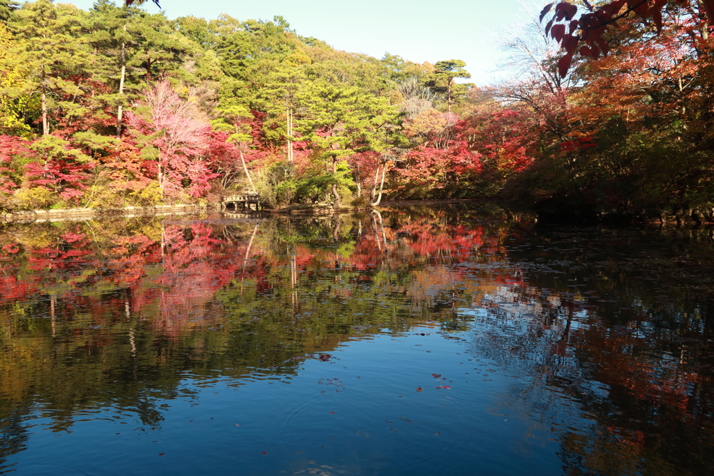 紅葉狩り7