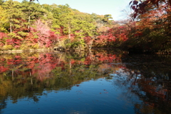 紅葉狩り7