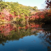 紅葉狩り7