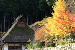 美山茅葺の里2