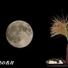 中秋の名月2
