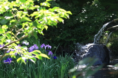 鎌倉・長谷寺にて