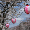 桜まつり