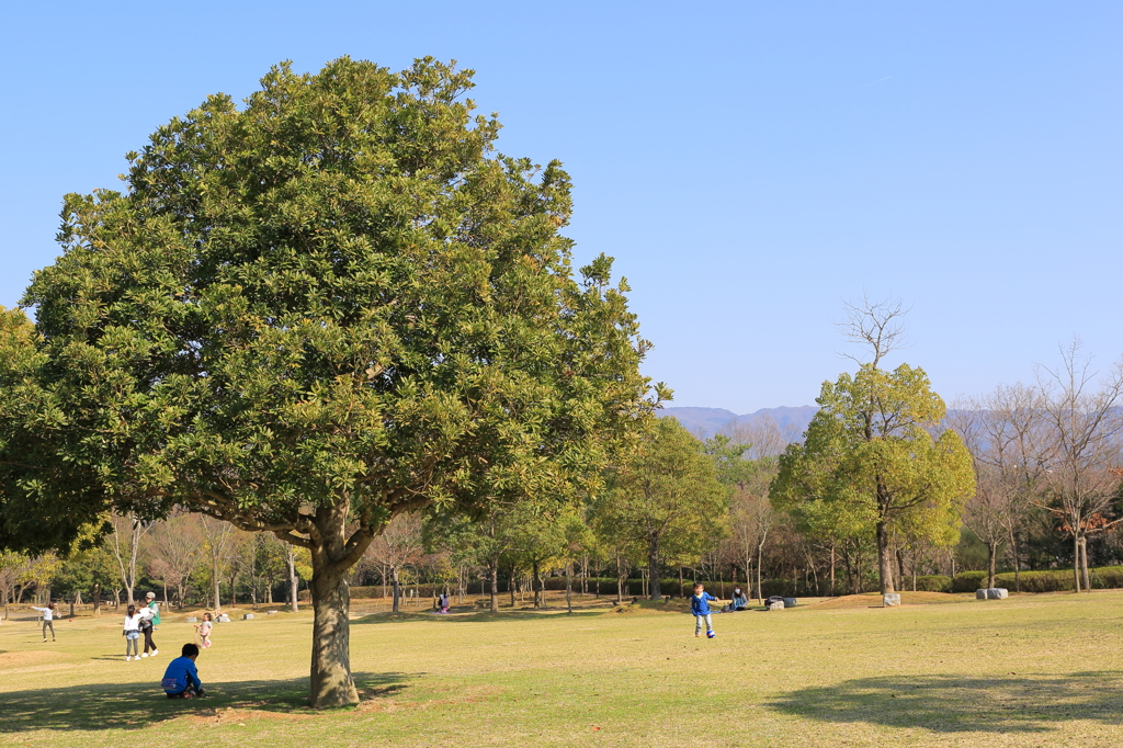 公園の午後