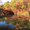 紅葉狩り6