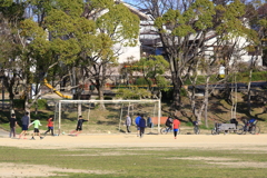 コロナ騒動の中の公園1