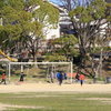 コロナ騒動の中の公園1