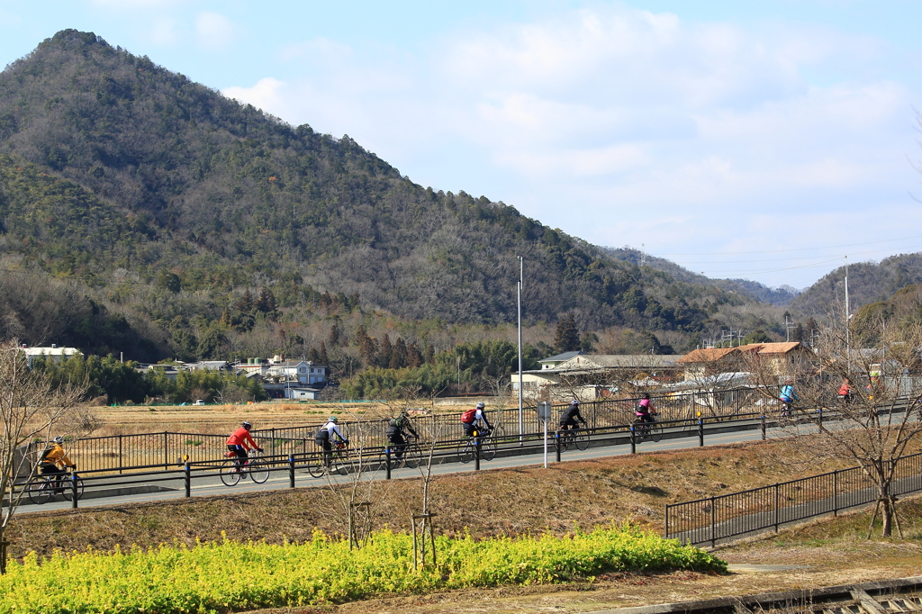 中高年のサイクリング1