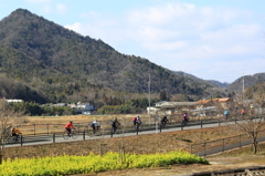 中高年のサイクリング1