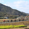 中高年のサイクリング1