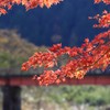 紅葉