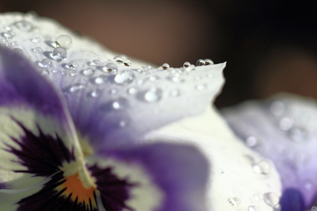 雨が止んで…2