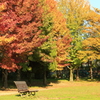 公園の秋2