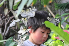 蝶と子供