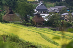 やっと秋の気配