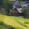 やっと秋の気配