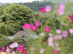 日本の里100選～長谷