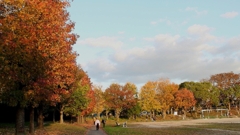 公園