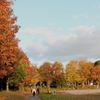 公園