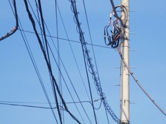 Electric wire and light